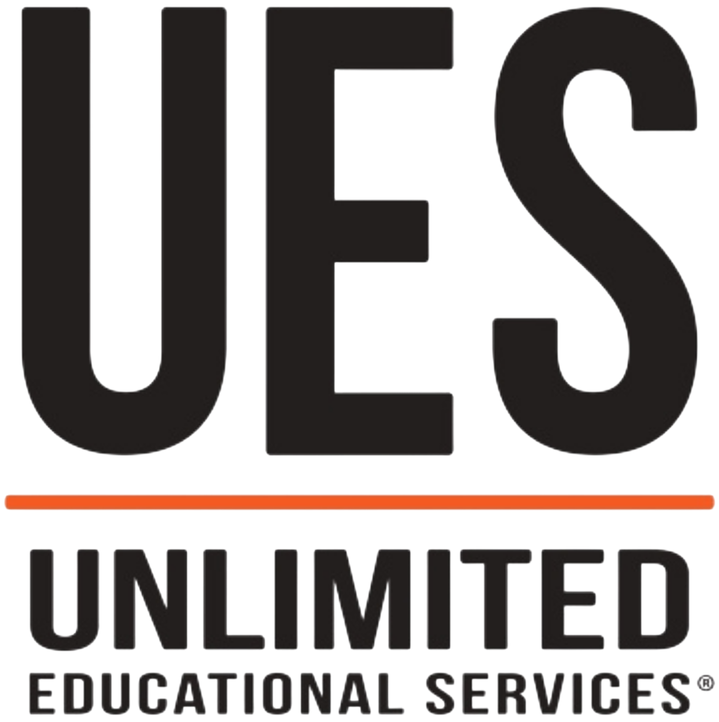 UES Türkiye Logo